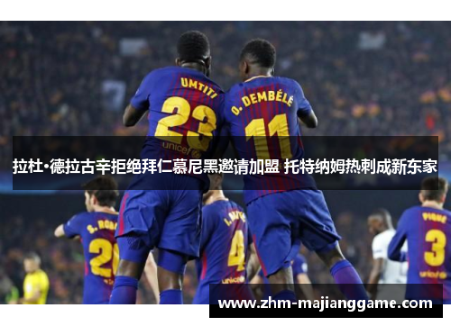 拉杜·德拉古辛拒绝拜仁慕尼黑邀请加盟 托特纳姆热刺成新东家 拉杜·德拉古辛拒绝拜仁慕尼黑邀请加盟 托特纳姆热刺成新东家